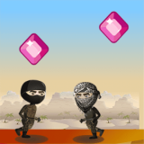 Elmas Derleyici Oyunu