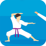 Karate Kralı Oyunu