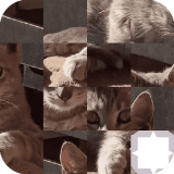 Kedi Yapboz Oyunu