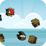 Kızgın Ninja Oyunu