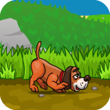 Köpek ve Ördek Oyunu