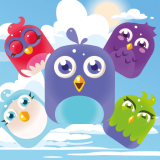 Kuş Eşleştirme Ustası Oyunu