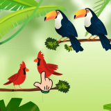 Kuş Sıralaması Oyunu