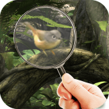 Peri Ormanı Gizli Nesneler Oyunu