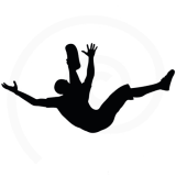 Salona Düşmek Oyunu