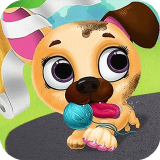 Sevimli Evcil Hayvan Arkadaşları Oyunu