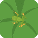 Sineği Yakala Oyunu