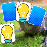 Timsah Hafıza Eşleştirmesi Oyunu