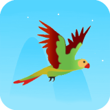 Uçan Papağan Oyunu